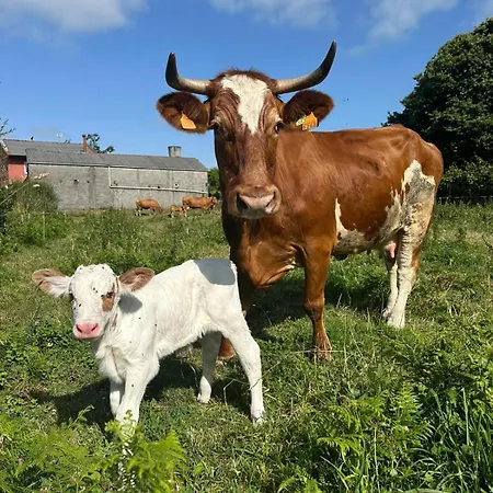 A Casina Semesterbostad