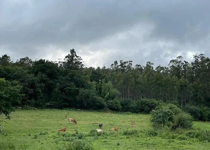 A Casina Tatil Evi *