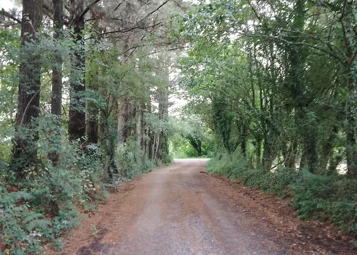 A Casina Tatil Evi *